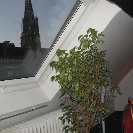 Hotel Loewen Freiburg im Breisgau