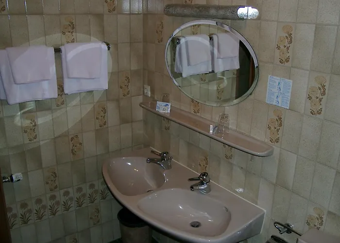 Loewen Freiburg im Breisgau