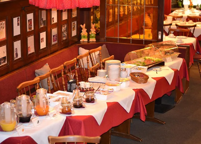 Loewen Freiburg im Breisgau