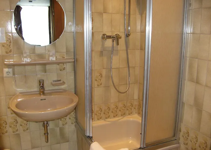 Loewen Freiburg im Breisgau