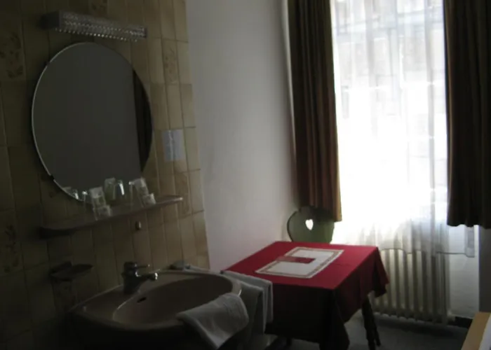 Loewen Freiburg im Breisgau