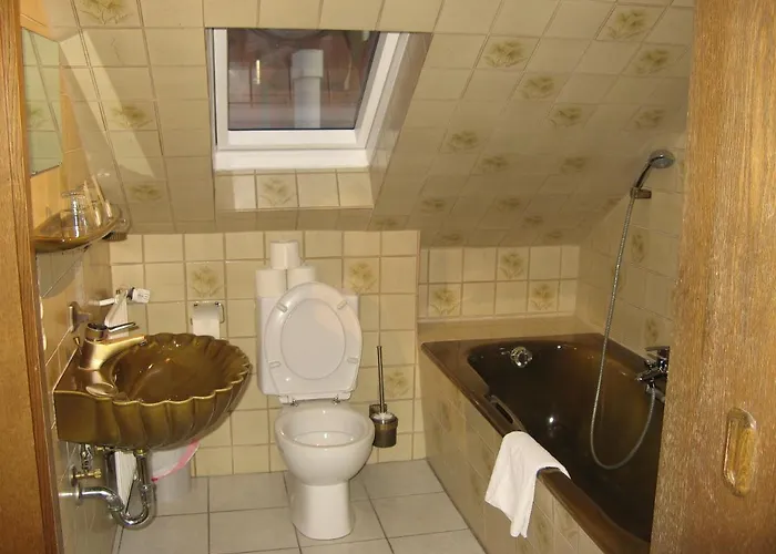 Loewen Hotel Freiburg im Breisgau